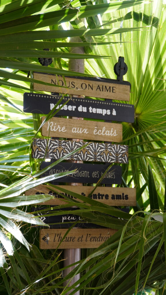 dsc04141