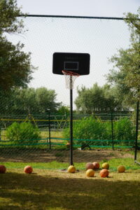 Activités Terrains de Sport & Espaces de Jeux